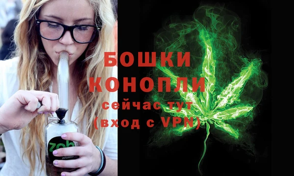 амф Осинники