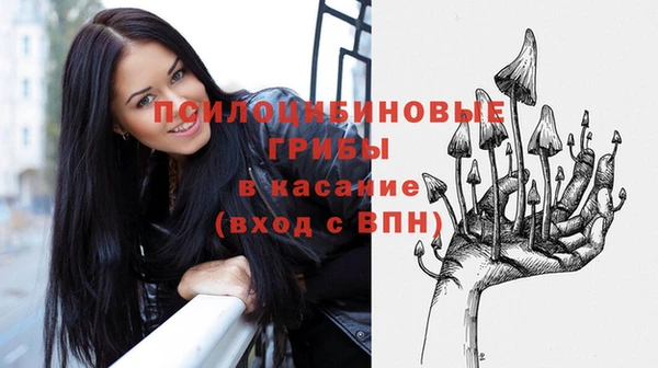 ПСИЛОЦИБИНОВЫЕ ГРИБЫ Осташков