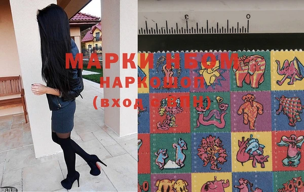 амф Осинники