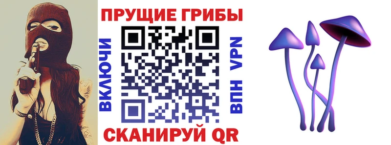 Купить  Долинск  Псилоцибиновые грибы Psilocybe 